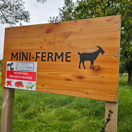 Mobil-Home 6 Personne - Tohapi Coeur De Vendee La Boissiere-de-Montaigu Eksteriør bilde